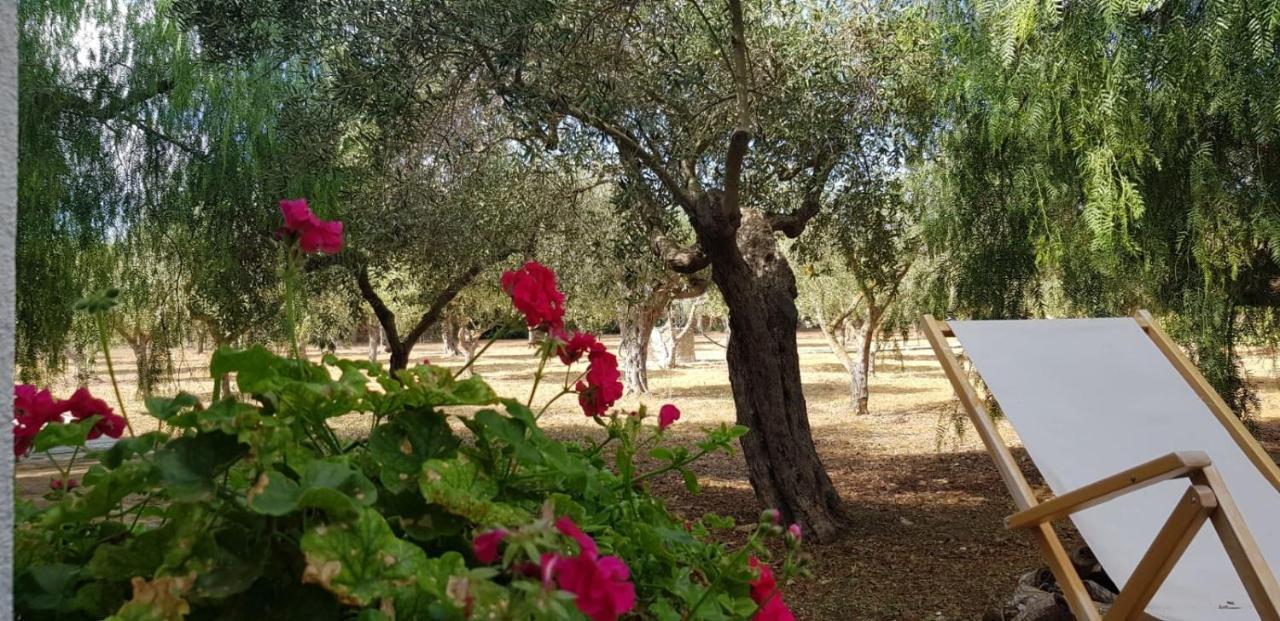 Casa Ibiscus Villa Marsala Dış mekan fotoğraf