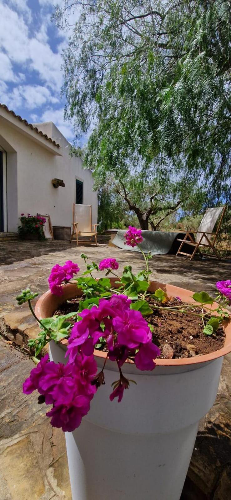 Casa Ibiscus Villa Marsala Dış mekan fotoğraf